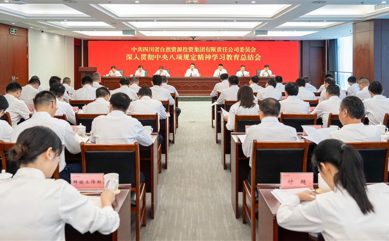 集团召开党建工作领导小组和学习教育工作总结会