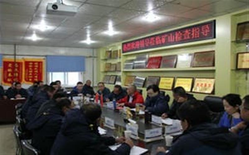 李仕荣一行到松树南沟金矿检查指导工作并考察周边Z6尊龙凯时情况