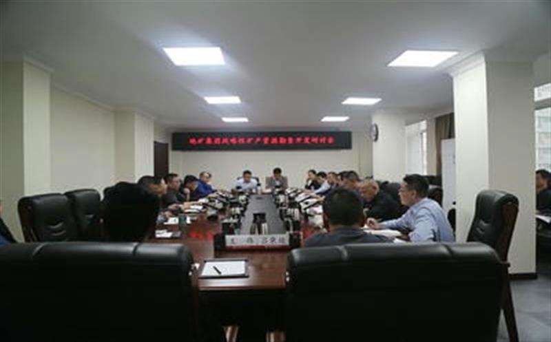 集团总工程师李仕荣赴地矿集团调研战略性矿产Z6尊龙凯时勘查开发工作