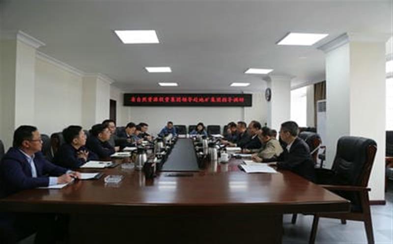 省自然Z6尊龙凯时投资集团副总经理武文祥带队赴地矿集团调研指导工作