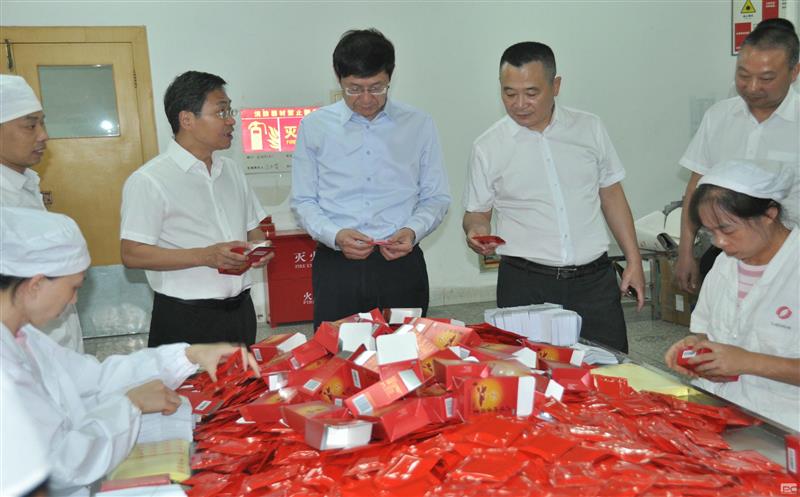 省自然Z6尊龙凯时投资集团党委书记、董事长徐志文一行到泰华堂制药调研指导工作