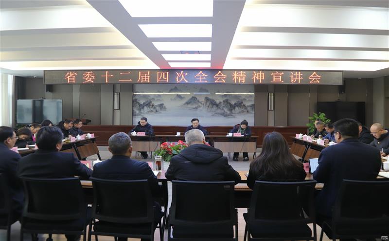 集团领导赴攀西公司宣讲省委 十二届四次全会精神，，，，，，，，并开展春节送温暖活动