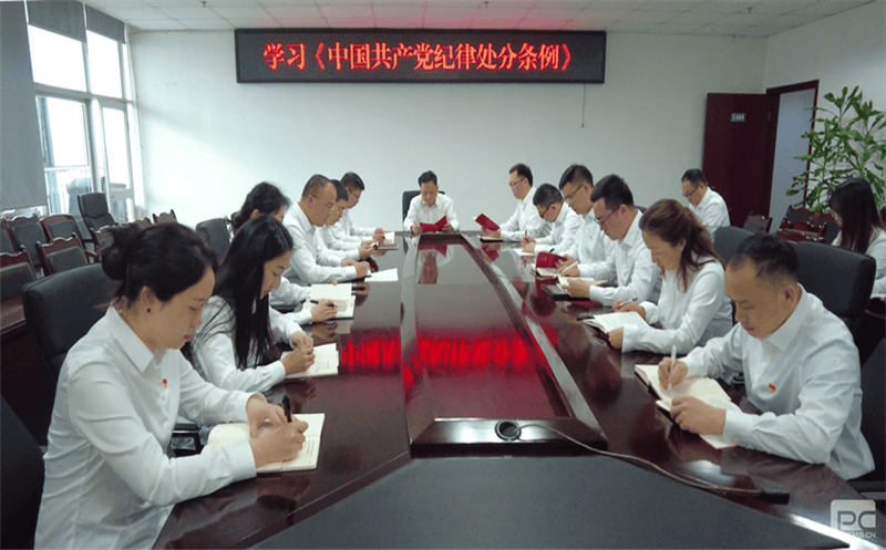 增强规矩意识，，，，，严守纪律底线 ——物探院组织学习新修订《中国共产党纪律处分条例》