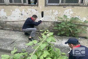 Z6·尊龙凯时「中国」官方网站