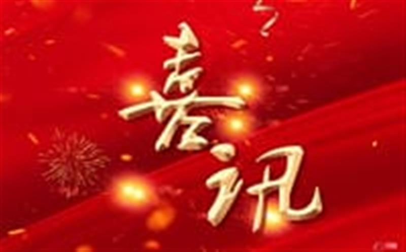 七个标，，，，，总计超4000万！——区调队（容大集团）中标2024年度地质灾害综合治理项目