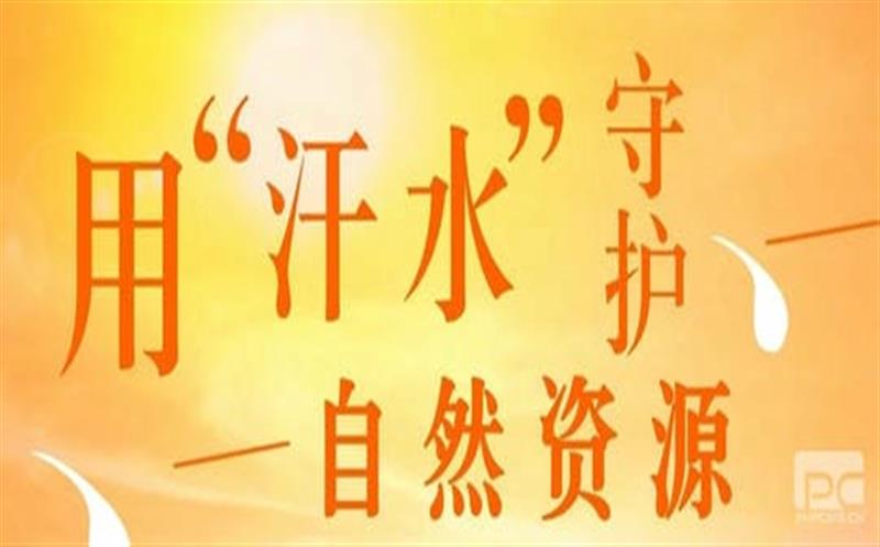 直面“烤”验 Z6尊龙凯时有我（一）