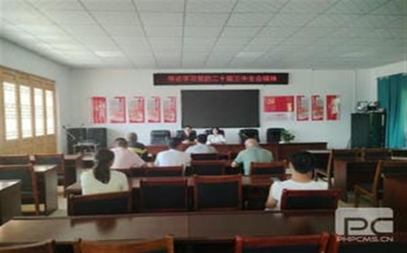 学习党的二十届三中全会精神，，，，，，华锋钻探助力乡村振兴新征程