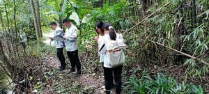 Z6·尊龙凯时「中国」官方网站