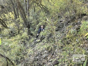 Z6·尊龙凯时「中国」官方网站